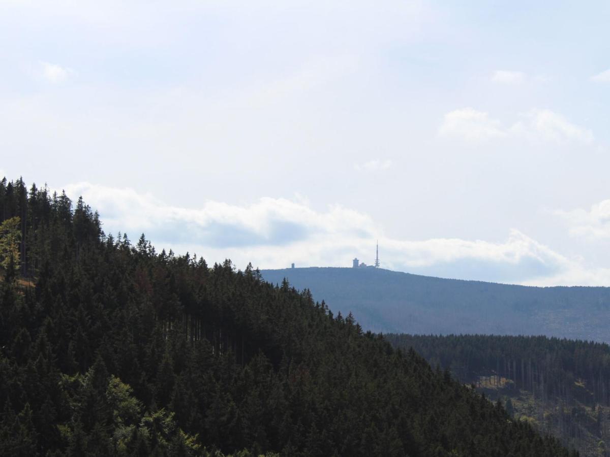 Classic Holiday Home In The Harz Mountains السنبرغ المظهر الخارجي الصورة