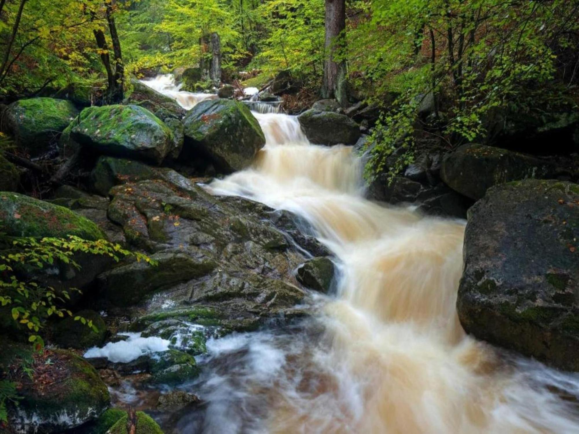 Classic Holiday Home In The Harz Mountains السنبرغ المظهر الخارجي الصورة